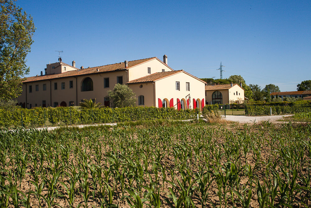 Cascina Canova B&B San Giuliano Terme Exterior photo