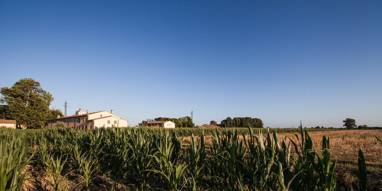 Cascina Canova B&B San Giuliano Terme Exterior photo
