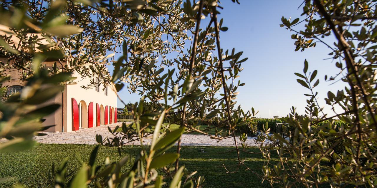Cascina Canova B&B San Giuliano Terme Exterior photo