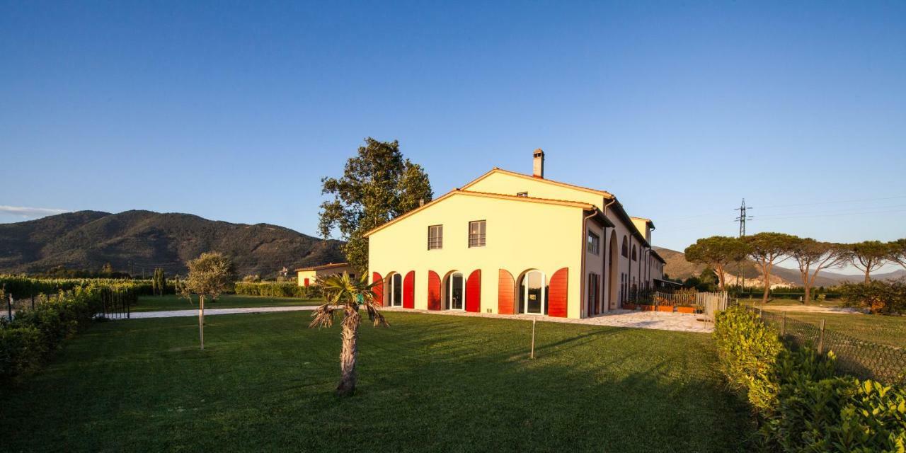 Cascina Canova B&B San Giuliano Terme Exterior photo